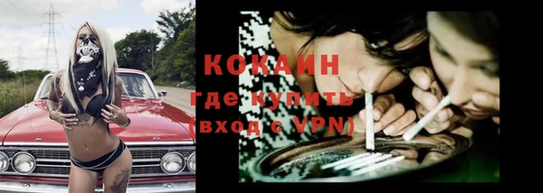 стафф Богданович