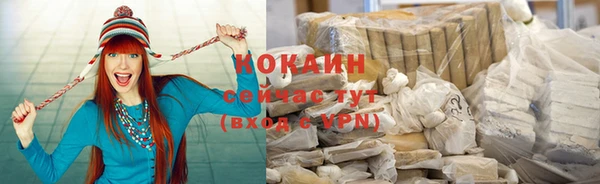 стафф Богданович