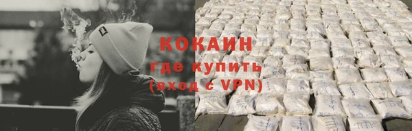 стафф Богданович