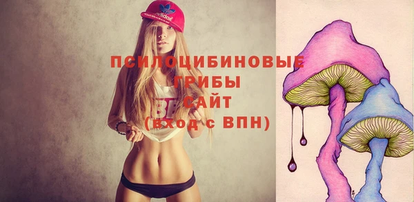 кокс Богородицк