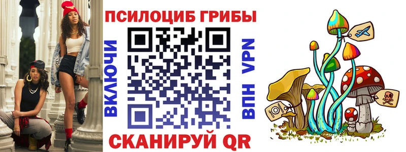 Псилоцибиновые грибы Psilocybe  Бугульма 